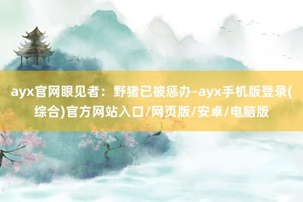 ayx官网眼见者：野猪已被惩办-ayx手机版登录(综合)官方网站入口/网页版/安卓/电脑版