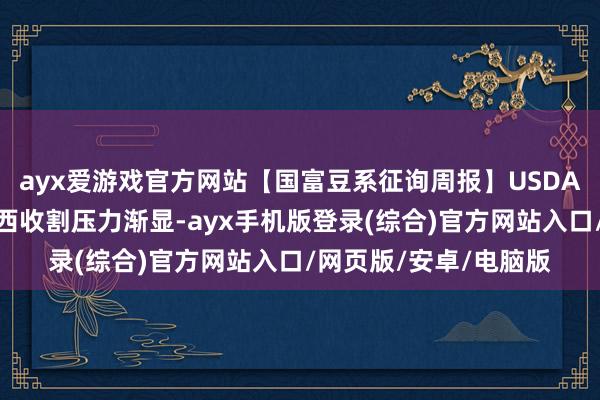 ayx爱游戏官方网站【国富豆系征询周报】USDA下调单产超预期，巴西收割压力渐显-ayx手机版登录(综合)官方网站入口/网页版/安卓/电脑版