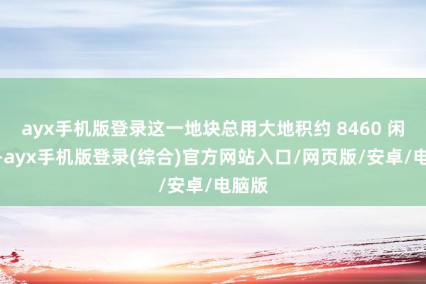 ayx手机版登录这一地块总用大地积约 8460 闲居米-ayx手机版登录(综合)官方网站入口/网页版/安卓/电脑版