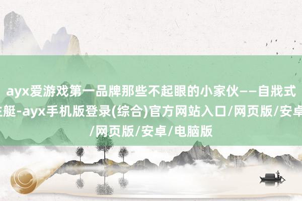 ayx爱游戏第一品牌那些不起眼的小家伙——自戕式无东谈主艇-ayx手机版登录(综合)官方网站入口/网页版/安卓/电脑版