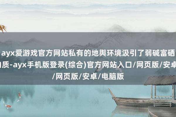 ayx爱游戏官方网站私有的地舆环境汲引了弱碱富硒的私有肉质-ayx手机版登录(综合)官方网站入口/网页版/安卓/电脑版
