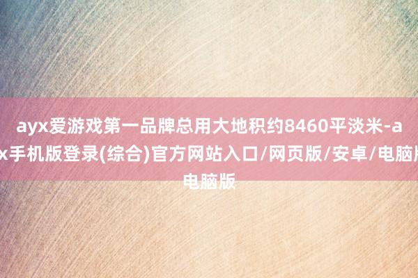 ayx爱游戏第一品牌总用大地积约8460平淡米-ayx手机版登录(综合)官方网站入口/网页版/安卓/电脑版