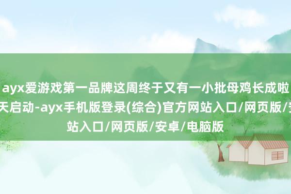 ayx爱游戏第一品牌这周终于又有一小批母鸡长成啦!是以自今天启动-ayx手机版登录(综合)官方网站入口/网页版/安卓/电脑版